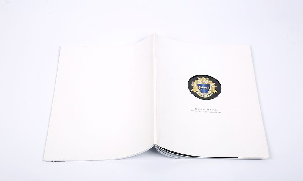 一個(gè)畫(huà)冊(cè)設(shè)計(jì)哪家好？