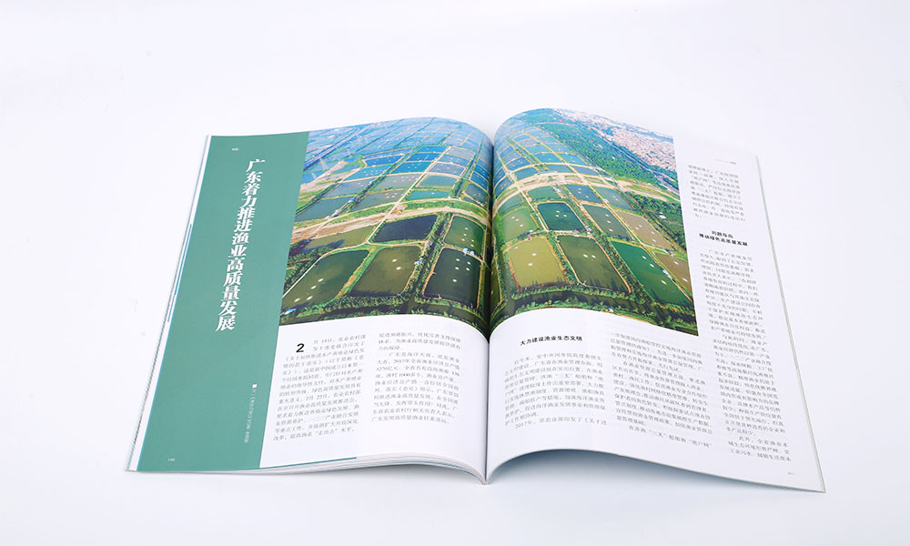 企業(yè)畫冊(cè)公司多大合適？